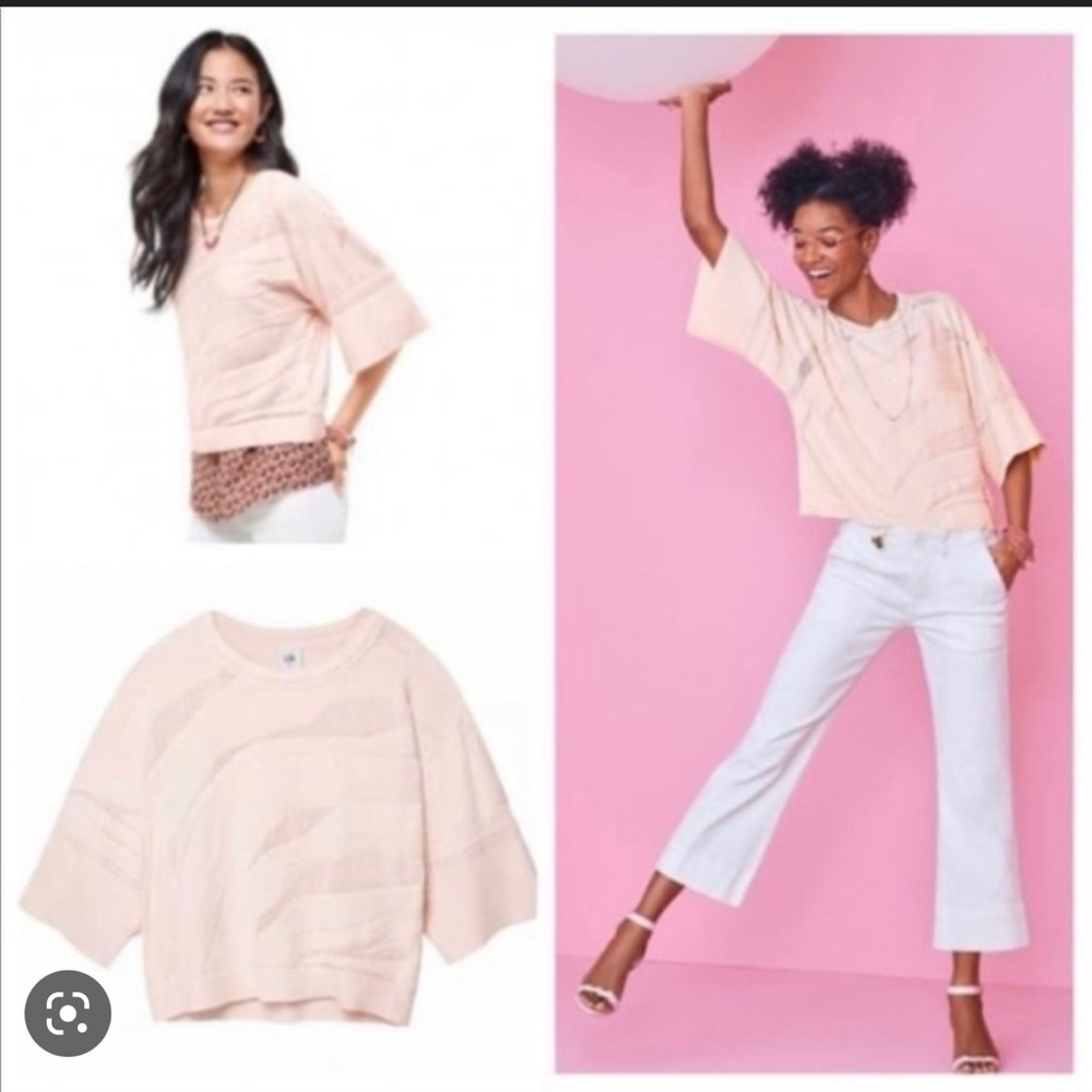 CAbi 5631 M Shy Pullover Knit Top Blush Pink Size Medium Spring 2020 Look Book